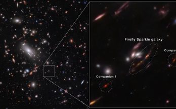 James Webb Space Telescope witnesses Firefly Sparkle galaxy 'being assembled brick by brick' (image, video)