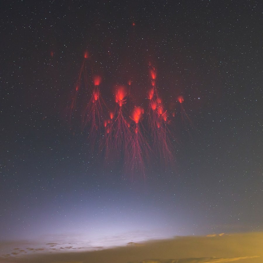 Congratulations to Wang Xin for winning the Standard Chartered Weather Photographer of the Year competition with an image of red sprite lightning during a thunderstorm in Shanghai. A rare image captured of multiple sprites at once! Sprites occur due to electrical discharge, but unlike ordinary lightning, they occur well above cumulonimbus clouds. The red colour comes from changes in the energy of the electrons of nitrogen atoms high in the atmosphere....Read More in Comments👇