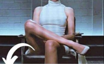 SHARON STONE THE MOST ICONIC LEG-CROSSING IN HISTORY