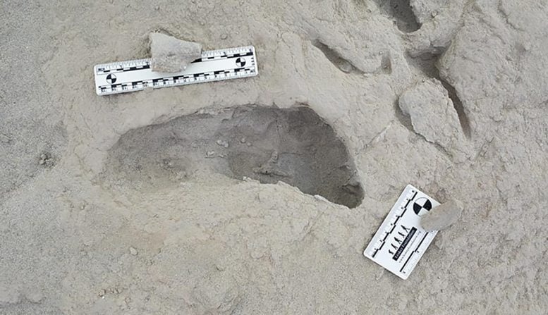 Proof of Hominin Coexistence Discovered: 1.5-Million-Year-Old Footprints Rewrite Human Evolution