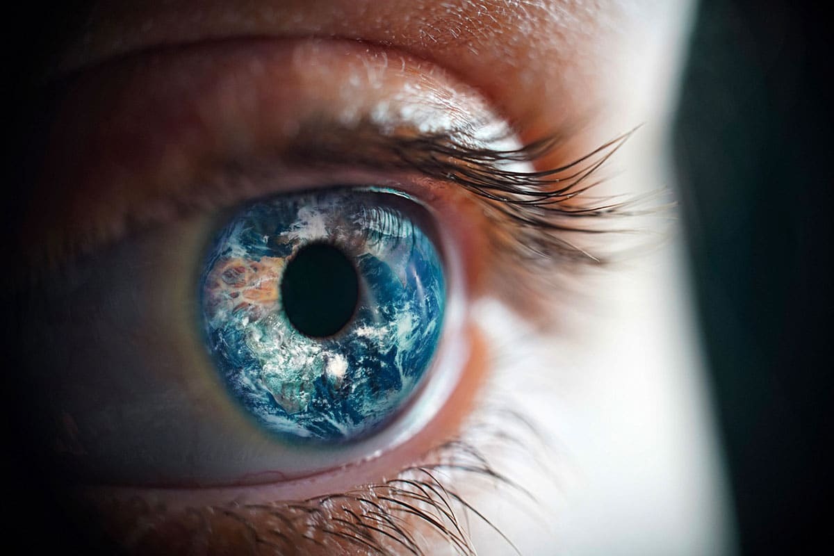 Anthropologist Proposes Theory on Why Humans Dominate the World