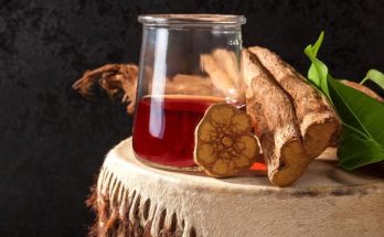 New Study: This Plant-Based Beverage Could Be the Key to Treating Trauma-Related Disorders