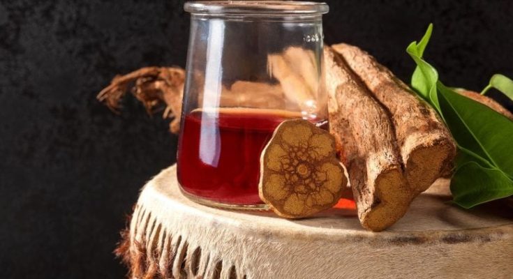 New Study: This Plant-Based Beverage Could Be the Key to Treating Trauma-Related Disorders
