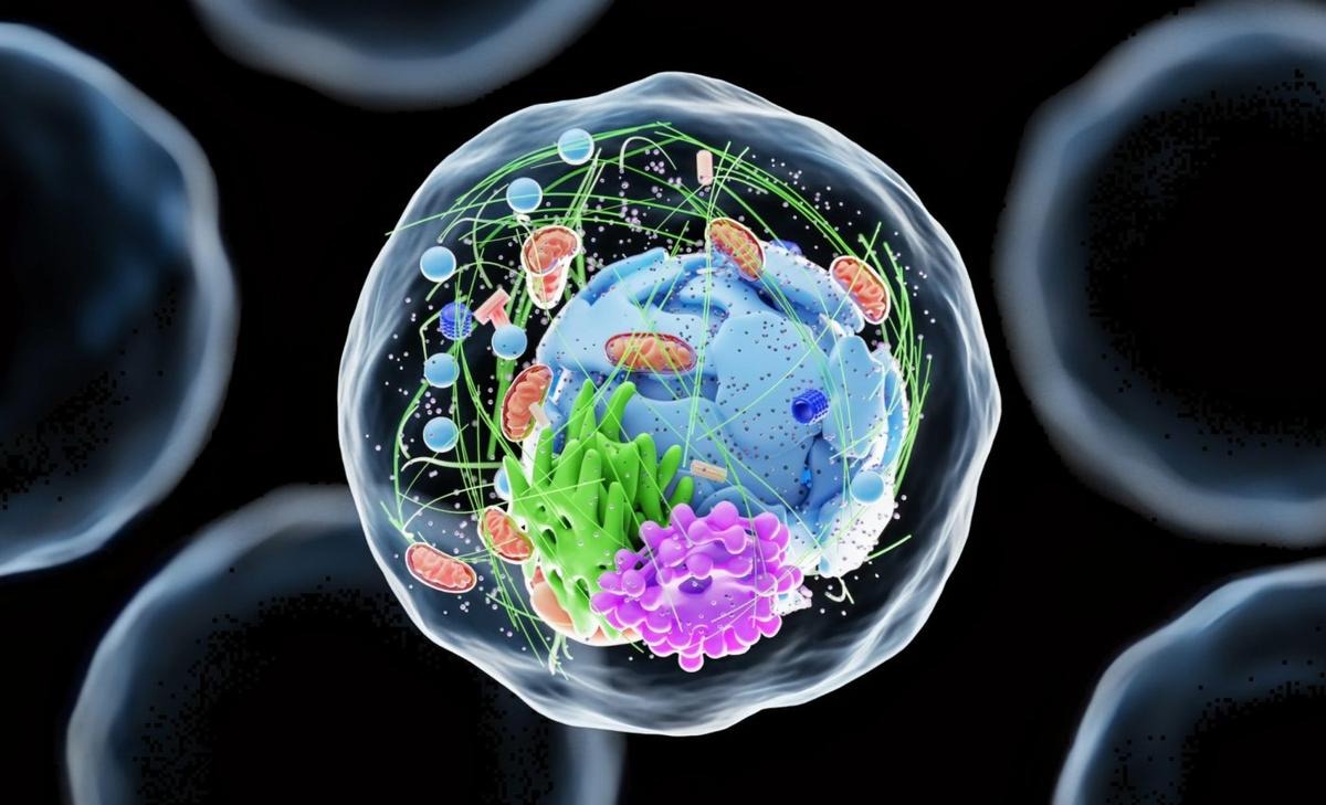 Timeline of life’s evolution extended by nearly 1.5 billion years