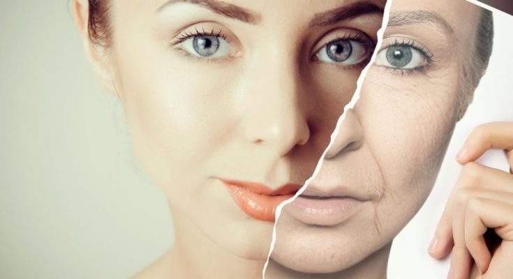 Stress Accelerates Aging of the Immune System