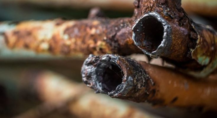 Stanford Experts Sound Alarm on “Remarkably Harmful Toxin”
