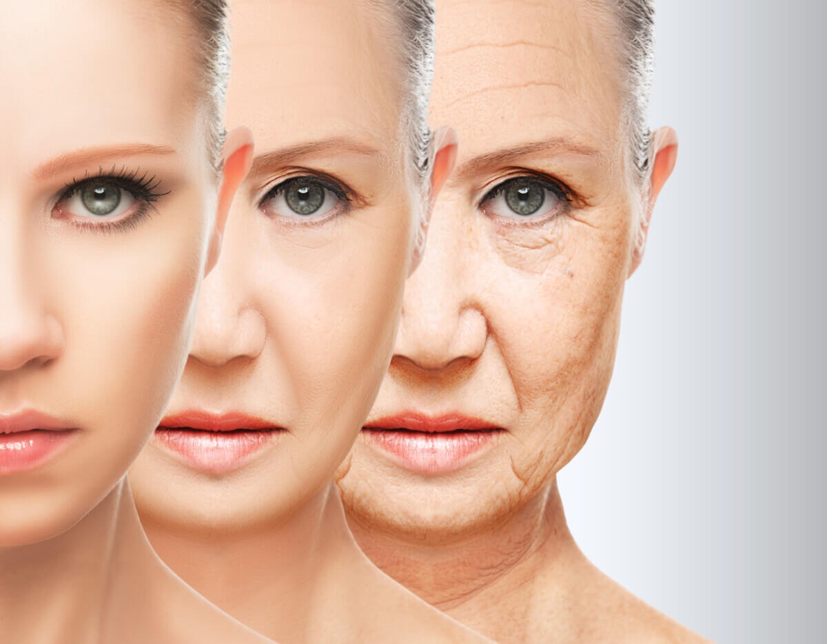 Could pond scum hold the key to anti-aging elixirs?
