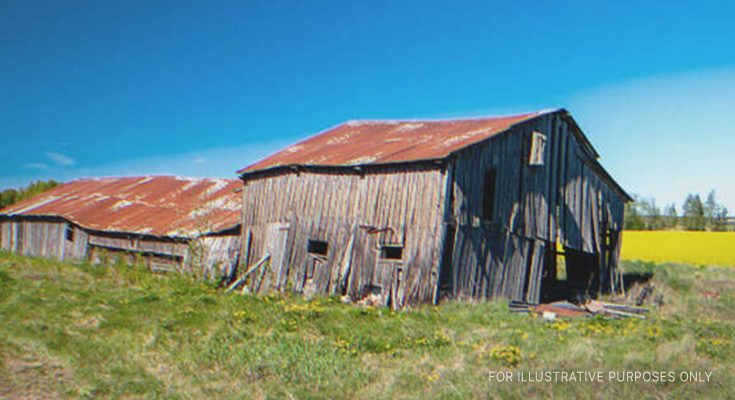 Men Mock Sister for Inheriting Old Barn, Money Falls at Her Feet as She Enters It – Story of the Day
