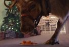 You Can Rudolph Eating In Your Home And Surprise Your Kids For Free Tonight