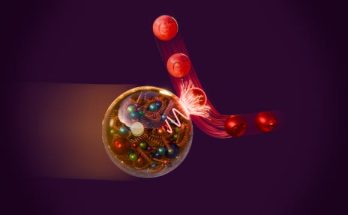 Physicists Map Out Quantum Entanglement in Protons