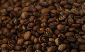 Your daily cup of coffee could get more expensive because of climate change