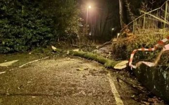 Storm Darragh red warning as 90mph winds spark 'danger to life' and 'stay safe' alert