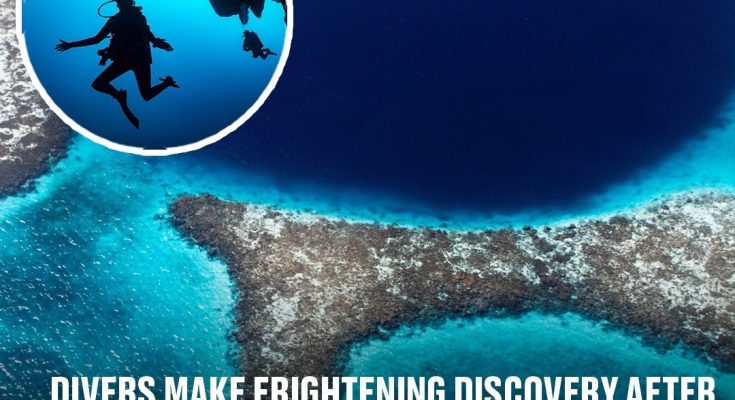 Divers make frightening discovery after finally reaching bottom of 400ft Great Blue Hole