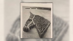Photo Shows WWI Soldiers in Horse Formation as Tribute to All Equine Animals Killed During War?