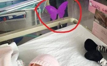 If you see a purple butterfly sticker near a newborn, you need to know what it means.​​ Check the first comment 