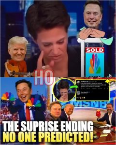 “WHO END?”Elon Musk Posting Memes About Buying MSNBC Has Rachel Maddow in PANIC MODE | HO
