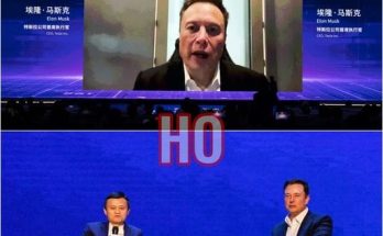 15 MINUTES AGO: Elon Musk Made A HUGE Announcement About China | HO