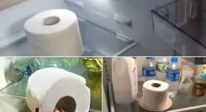 If you find a roll of toilet paper in your fridge, here’s what it means