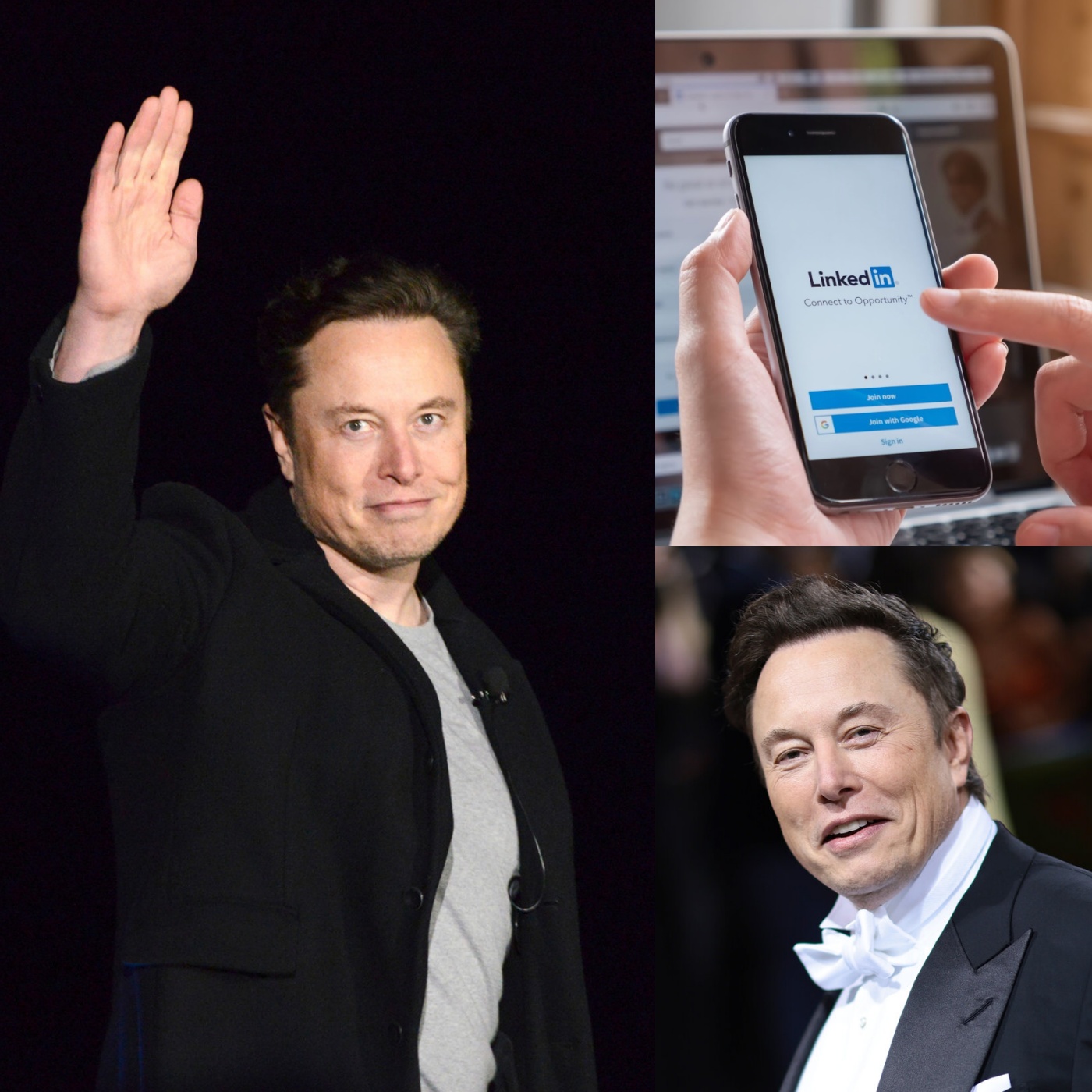 Elon Musk calls LinkedIn users “cringe.” Why?