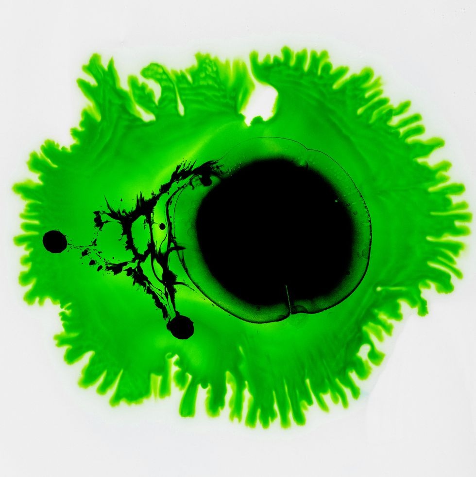 A Single Mutation Could Send a Catastrophic Contagion From Birds to Humans