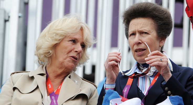 Three Words Princess Anne Said About Camilla Becoming Queen — How Has Their Relationship Evolved?