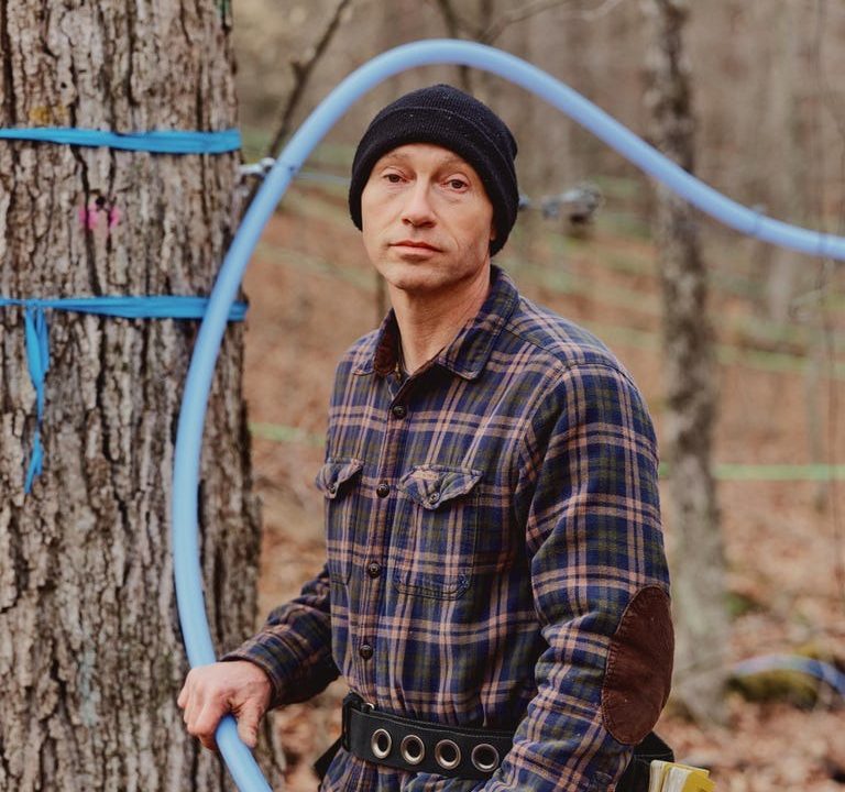 New Science Could Save the Maple Syrup Industry From a Sticky Situation