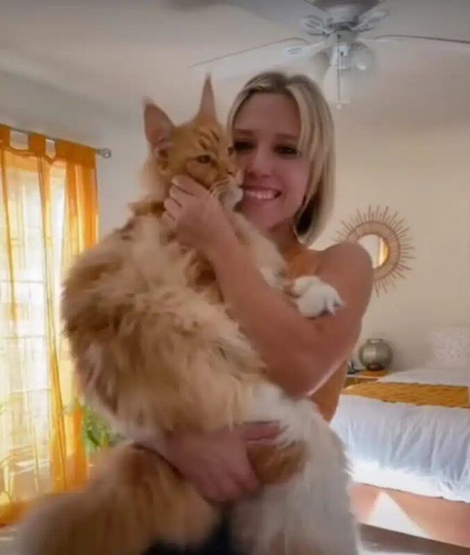Meet Finn: The Giant Cat Who’s Bigger Than a 9-Year-Old Child!
