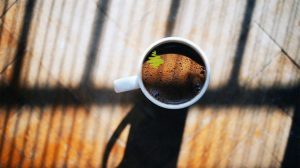 Is coffee good for your heart health? 3 studies offer insights