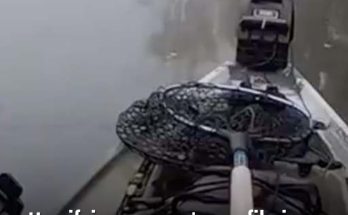 Horrifying moment man filming himself fishing finds dead body in a lake