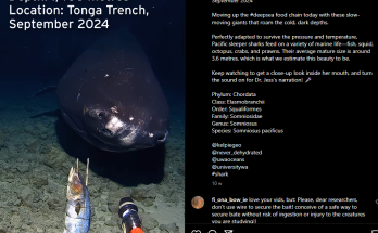 Scientists Capture a Terrifying Deep-Sea Creature by Dropping a Camera into the Dark Abyss of the Ocean