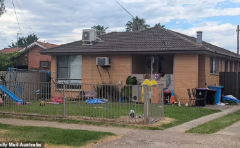 Owner of the Mooroopna house where a little boy was found dead in a car boot breaks her silence - as she reveals tragic new details about the 'freak accident'