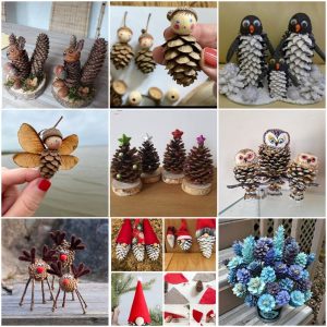 The Beauty of Pinecones Natural Decor and Crafting