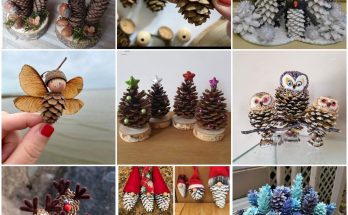 The Beauty of Pinecones Natural Decor and Crafting