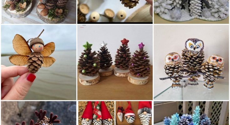 The Beauty of Pinecones Natural Decor and Crafting
