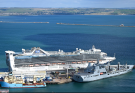 Princess Cruises passenger dies after 'attempting to jump overboard'