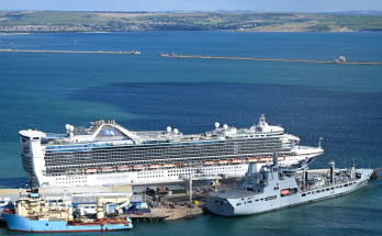 Princess Cruises passenger dies after 'attempting to jump overboard'