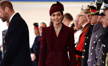 Princess Kate Was The Picture Of Grace With Her Signature Curtsy During Special Meeting