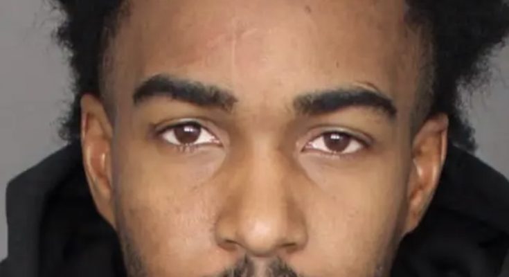TikTok 'prankster' arrested after sharing video of himself spraying harmful bug killer pesticide on food inside Walmart