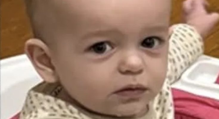 Fatal Alabama car crash reveals family's one-year-old baby has been missing for months