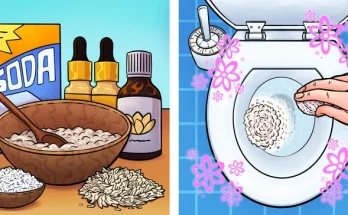 17 Ways to Remove Bad Smells From Your Home