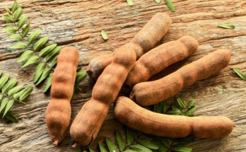 The Health Benefits of Tamarind: A Natural Boost for Digestive and Heart Health