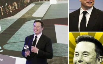 Elon Musk bluntly criticizes that perfection only makes you lose value and offers an unexpected yet sincere piece of advice