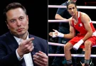 ‘You have ridiculed, treated me and my family unfairly’: Algerian boxing champion Imane Khelif talks about cyberbullying and Elon Musk’s involvement