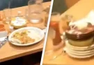 Waitress' video shows huge difference between Boomers and Gen Z restaurant customers