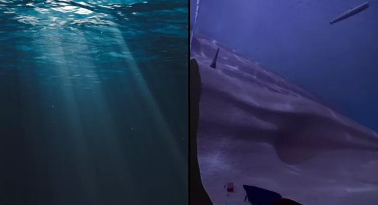 Terrifying simulation 'unlocks new fear' in people after showing reality of how deep the ocean is