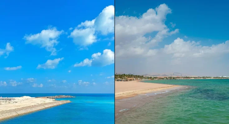 Tourist killed and another left in hospital after shark attack off coast of popular tourist destination
