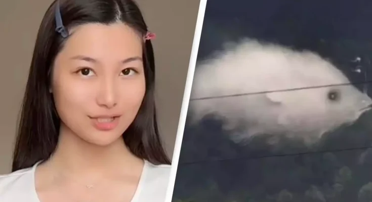 Optical illusion reveals what your personality is depending on what you see