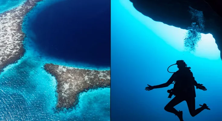 Divers make frightening discovery after finally reaching bottom of 400ft Great Blue Hole