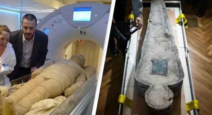 Ancient disease which wiped out 50,000,000 people found in DNA of Egyptian mummy