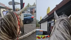 Man rides horse through McDonald’s drive-thru to see if he’ll still get served